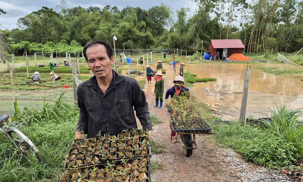 Chạy lụt